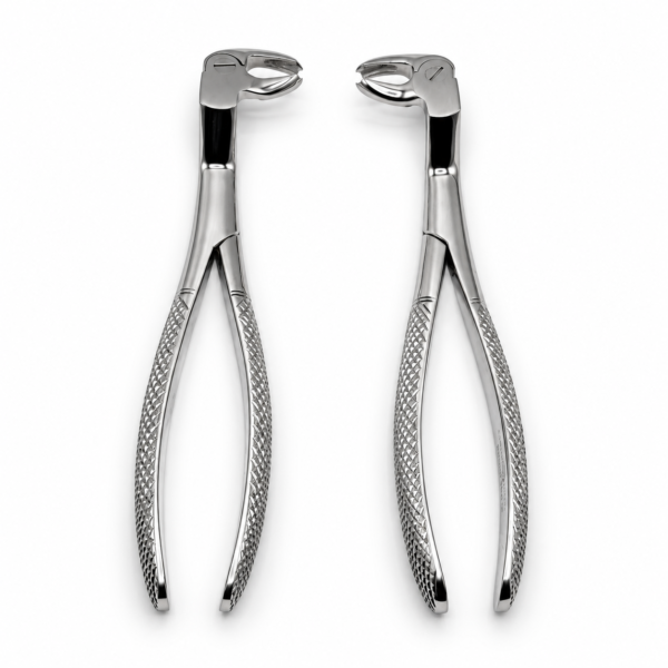 Lower Molar and Wisdom Set