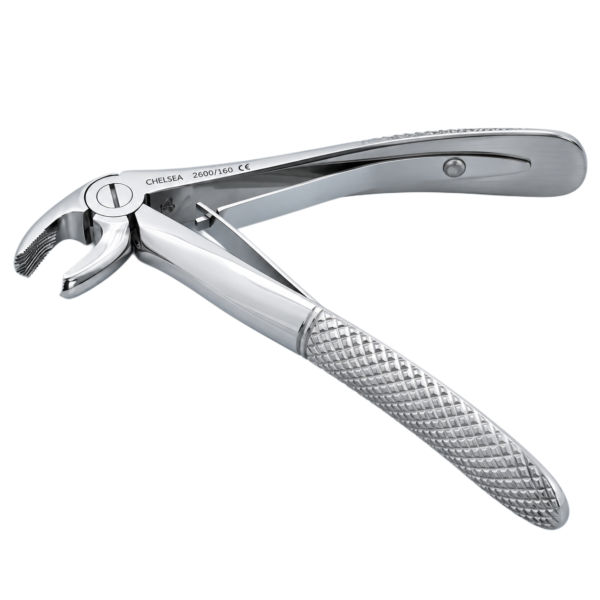 Lower Molars and Premolars 2600-160
