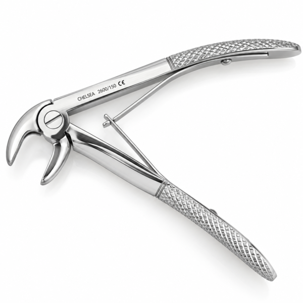 Upper Incisors and Canines 2600-150