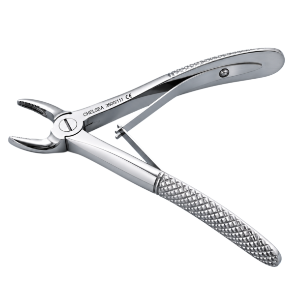 Upper Premolar 2600-111